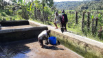 Pendampingan panen di Pokdakan Sari Bedugul Desa Kedis 