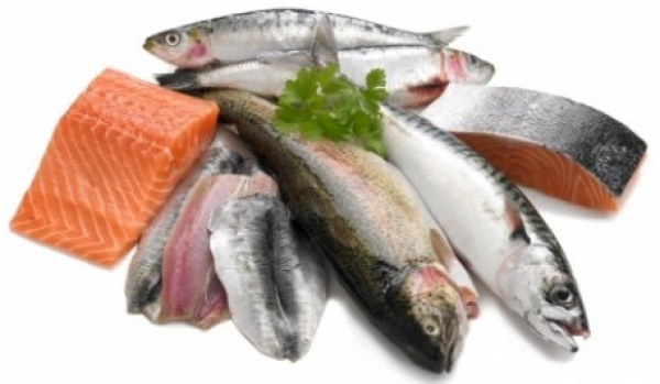 Ikan adalah salah satu jenis makanan yang memiliki kandungan protein tinggi