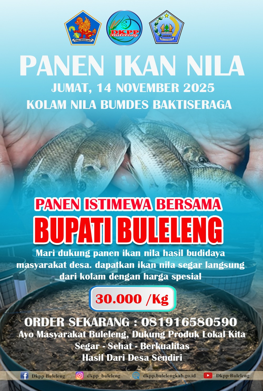 PANEN ISTIMEWA BERSAMA BUPATI BULELENG